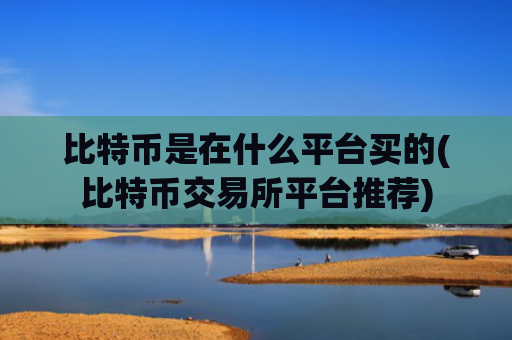 比特币是在什么平台买的(比特币交易所平台推荐)