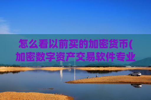 怎么看以前买的加密货币(加密数字资产交易软件专业)