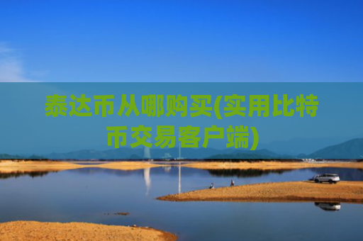 泰达币从哪购买(实用比特币交易客户端)