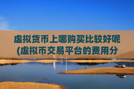 虚拟货币上哪购买比较好呢(虚拟币交易平台的费用分析)