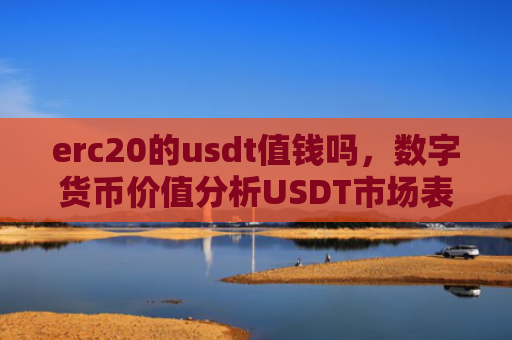 erc20的usdt值钱吗,数字货币价值分析USDT市场表现