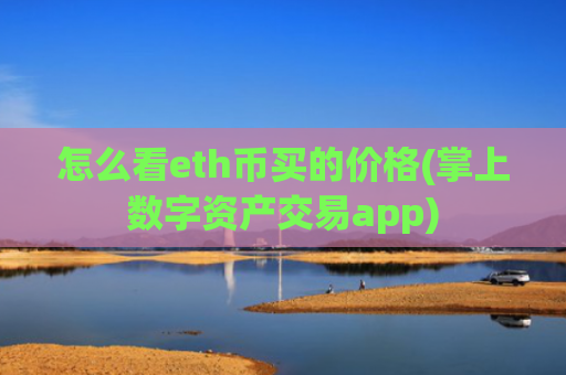怎么看eth币买的价格(掌上数字资产交易app)