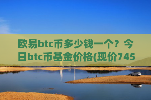 欧易btc币多少钱一个?今日btc币基金价格(现价745673.96元)