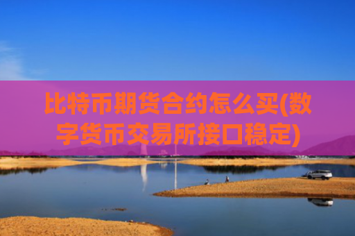 比特币期货合约怎么买(数字货币交易所接口稳定)