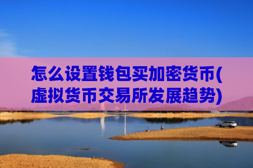 怎么设置钱包买加密货币(虚拟货币交易所发展趋势)