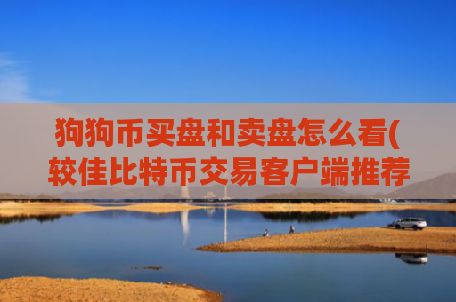 狗狗币买盘和卖盘怎么看(较佳比特币交易客户端推荐)