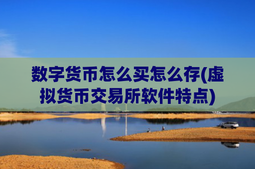 数字货币怎么买怎么存(虚拟货币交易所软件特点)