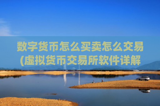 数字货币怎么买卖怎么交易(虚拟货币交易所软件详解)