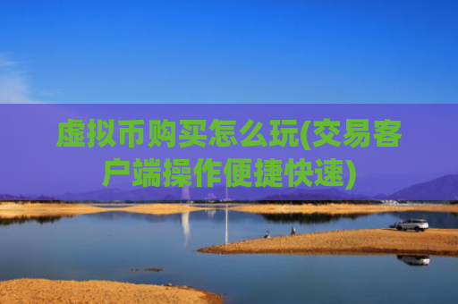 虚拟币购买怎么玩(交易客户端操作便捷快速)