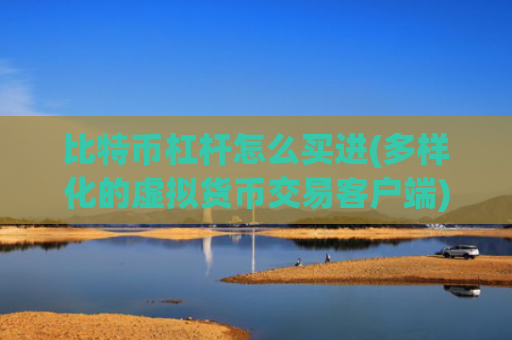 比特币杠杆怎么买进(多样化的虚拟货币交易客户端)