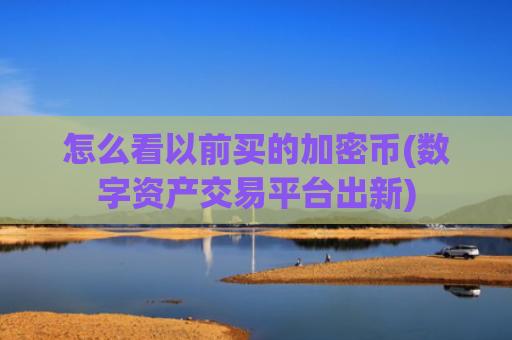怎么看以前买的加密币(数字资产交易平台出新)