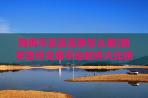 狗狗币买涨买跌怎么看(数字货币交易平台软件大比拼)
