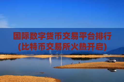 国际数字货币交易平台排行(比特币交易所火热开启)