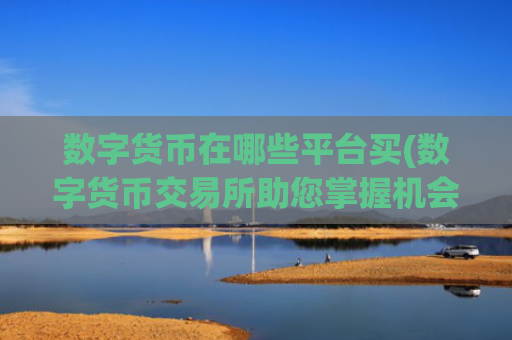 数字货币在哪些平台买(数字货币交易所助您掌握机会)