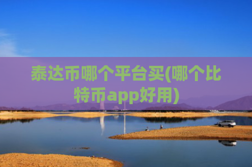 泰达币哪个平台买(哪个比特币app好用)
