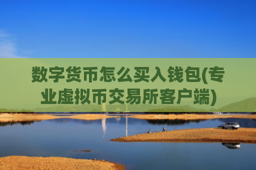 数字货币怎么买入钱包(专业虚拟币交易所客户端)