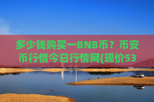 多少钱购买一BNB币?币安币行情今日行情网(现价5310.21元)