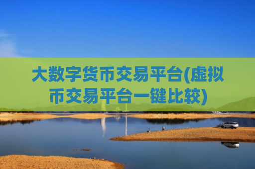 大数字货币交易平台(虚拟币交易平台一键比较)