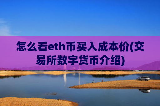 怎么看eth币买入成本价(交易所数字货币介绍)