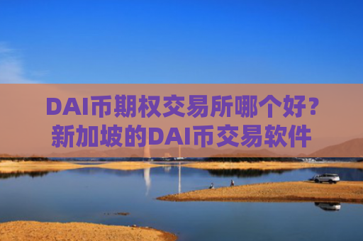 DAI币期权交易所哪个好?新加坡的DAI币交易软件