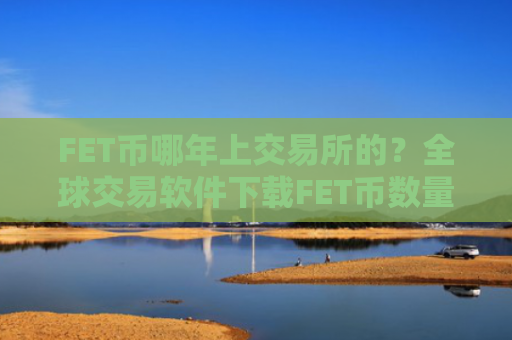 FET币哪年上交易所的?全球交易软件下载FET币数量
