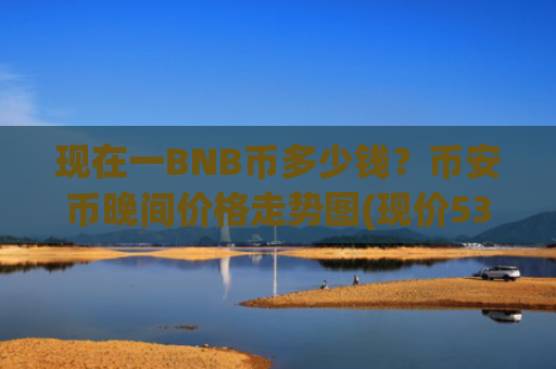 现在一BNB币多少钱？币安币晚间价格走势图(现价5300.91元)