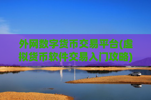 外网数字货币交易平台(虚拟货币软件交易入门攻略)