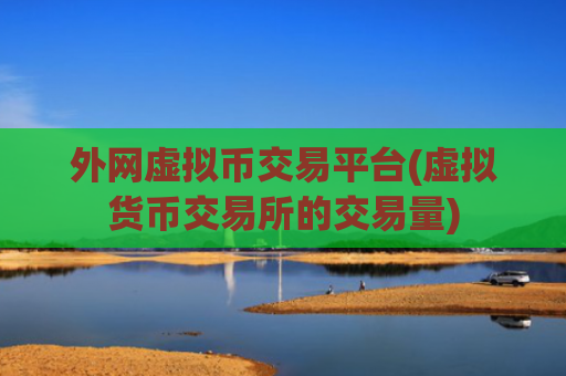 外网虚拟币交易平台(虚拟货币交易所的交易量)