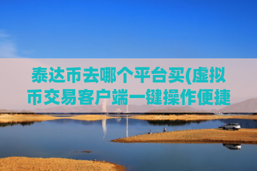 泰达币去哪个平台买(虚拟币交易客户端一键操作便捷)