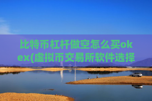 比特币杠杆做空怎么买okex(虚拟币交易所软件选择指南)