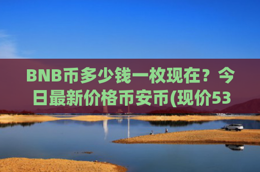 BNB币多少钱一枚现在？今日最新价格币安币(现价5311.88元)