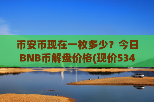 币安币现在一枚多少?今日BNB币解盘价格(现价5341.15元)