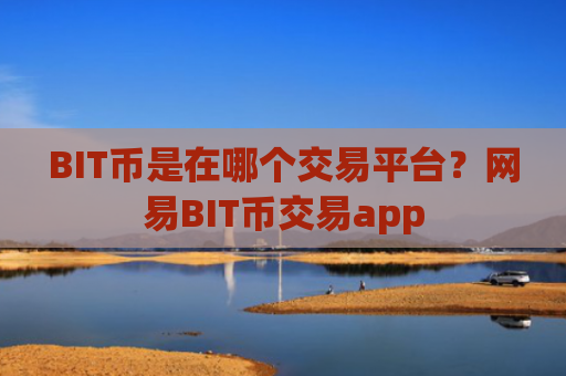 BIT币是在哪个交易平台？网易BIT币交易app