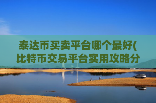 泰达币买卖平台哪个最好(比特币交易平台实用攻略分享)