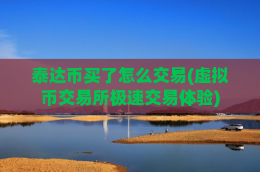 泰达币买了怎么交易(虚拟币交易所极速交易体验)