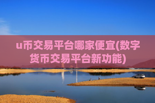 u币交易平台哪家便宜(数字货币交易平台新功能)