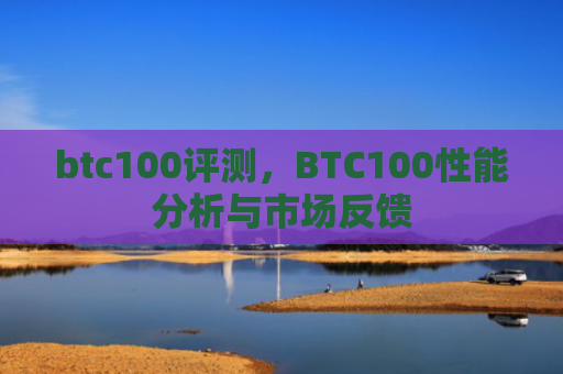 btc100评测,BTC100性能分析与市场反馈