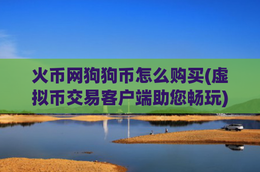 火币网狗狗币怎么购买(虚拟币交易客户端助您畅玩)