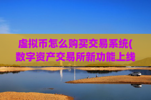 虚拟币怎么购买交易系统(数字资产交易所新功能上线)