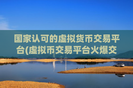 国家认可的虚拟货币交易平台(虚拟币交易平台火爆交易所)