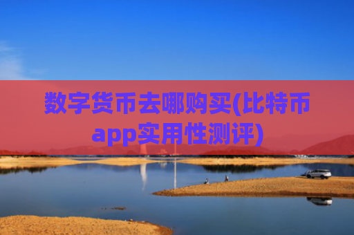 数字货币去哪购买(比特币app实用性测评)