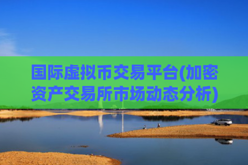 国际虚拟币交易平台(加密资产交易所市场动态分析)
