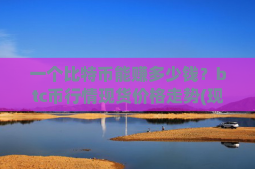 一个比特币能赚多少钱？btc币行情现货价格走势(现价744177.27元)
