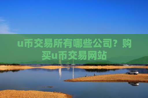 u币交易所有哪些公司？购买u币交易网站