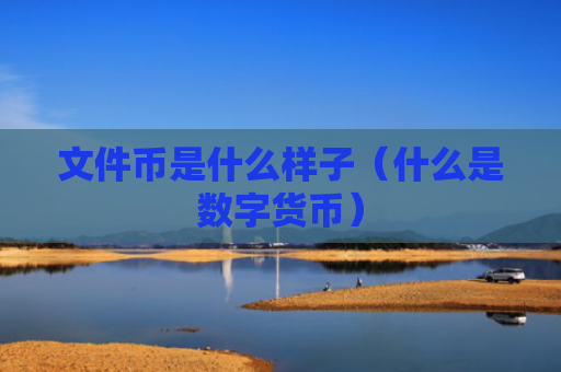 文件币是什么样子（什么是数字货币）