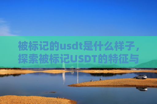 被标记的usdt是什么样子，探索被标记USDT的特征与识别