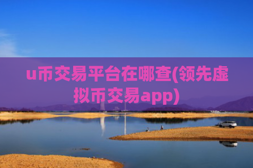 u币交易平台在哪查(领先虚拟币交易app)