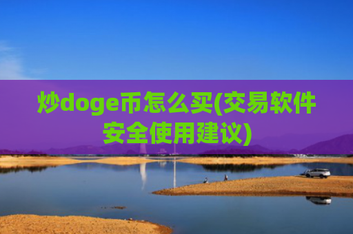 炒doge币怎么买(交易软件安全使用建议)