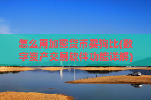 怎么用加密货币买狗比(数字资产交易软件功能详解)