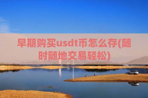 早期购买usdt币怎么存(随时随地交易轻松)